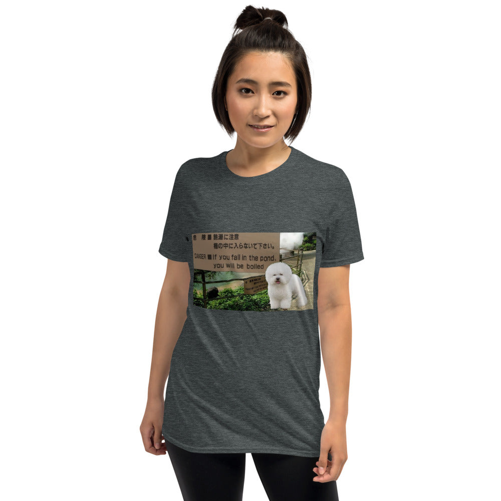 bichone frise photo printed tshirt