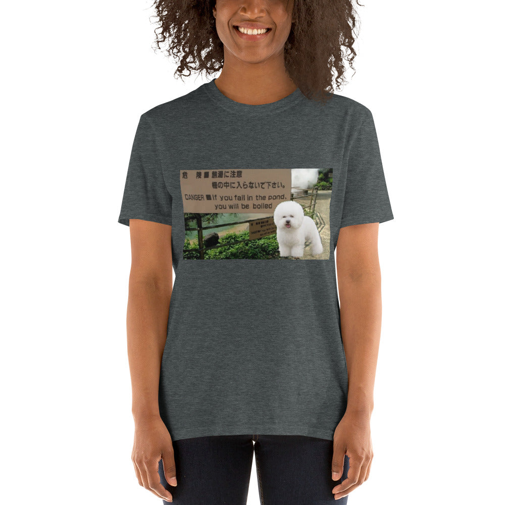 bichone frise photo printed tshirt